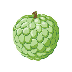 Light Green Custard Apple, Textured Tropical Fruit Illustration