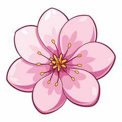 Fototapeta premium Photorealistic Vector of Pink Cherry Blossom Isolated on White Background – Botanical Illustration, Spring Flower Art, Nature Decor, Sakura Design, Floral Clipart, Elegant Blossom Graphic 