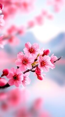 Obraz premium Pink cherry blossoms blooming, mountain background, spring, nature wallpaper