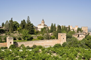 view of the alhambra of granada