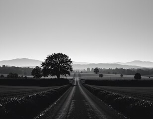 high quality, monochrome silhouette of trees and fields with a single road, in a minimal style.