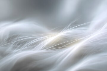 Soft curved silver and white threads interweave with light creating an ethereal flowing texture