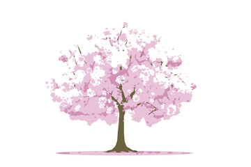 Fototapeta premium Pink Cherry Blossom Tree Spring Nature Illustration