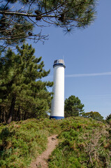 A modern white lighthouse with solar panels rises above lush green shrubbery and pine trees,...