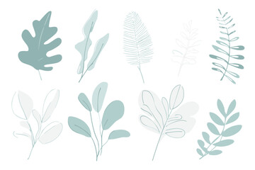 Obraz premium Teal and White Botanical Leaf Illustrations Set leaves