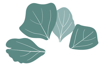 Teal Green Leaves Abstract Botanical Illustration vector