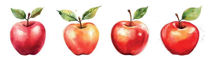 Watercolor set of red apples png. Red sweet apples with apple tree leaves. Elements of fruit, harvest, chic snack. Back to school. Vector illustration.