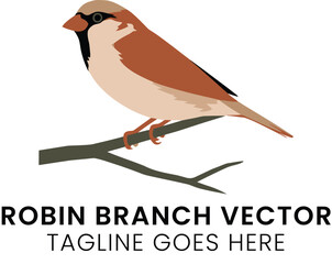 Brown Robin Bird on Branch Vector Illustration Nature red art wing beak tree cute icon logo park    