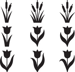 Obraz premium Tulip and cattail silhouettes isolated on white background