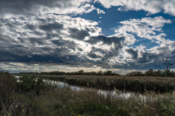A Stream Flowing under a Cloudy Sky