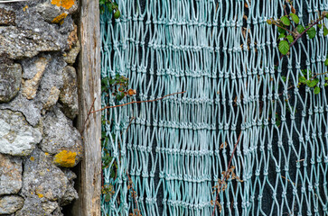 Close-up of a rustic stone wall next to a turquoise rope net fence with green leaves, perfect for backgrounds, fencing concepts, and outdoor textures.