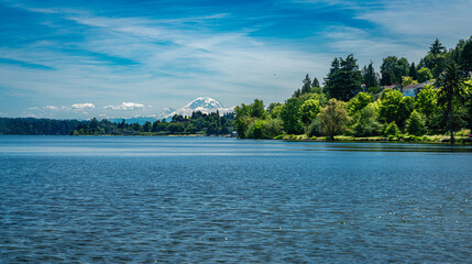 Rainier Lake Landscape 2