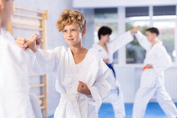 Sedulous underage practitioner of karate courses applying attack methods on his opponent