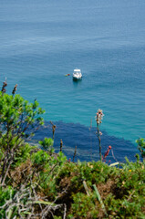 A serene white yacht floats on clear turquoise water near a rocky coastline, viewed from a lush green hillside, evoking relaxation and peaceful sea travel.