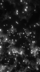 Vivid explosion of glowing particles around a black central void in radial formation