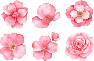 Fototapeta premium set of pink flowers