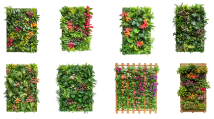 Collection of contemporary living wall with a mix of leafy plants and flowers, creating a vibrant, eco-friendly feature. isolate on transparent background