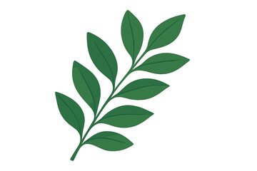 Green leafy branch with multiple leaves, showcasing a vibrant natural design suitable for various artistic uses