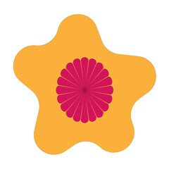 red flower isolated on white