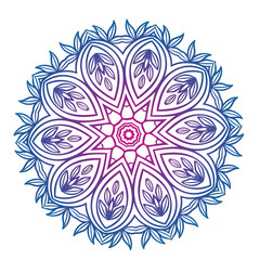 Ornamental Floral Lace Pattern with Round Mandala Design Vector illustrations