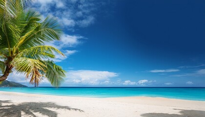 Fototapeta premium beautiful tropical beach with golden sand palm tree turquoise ocean against blue sky with clouds on a sunny summer day perfect landscape background for a relaxing vacation