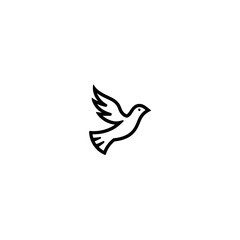 Fototapeta premium Flying dove soars gracefully within a simple white layout