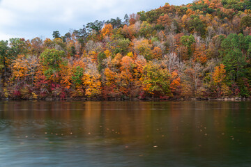 Autumn Forest over Water