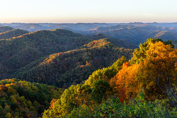 Forest Mountains in Autumn