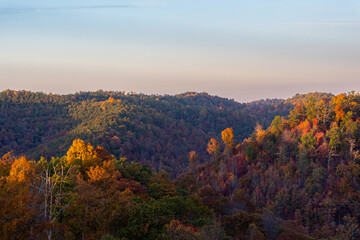 Autumn Forest and Mountains