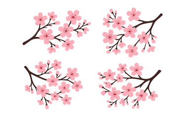 Cherry blossom branches with pink flowers showcasing delicate beauty in springtime