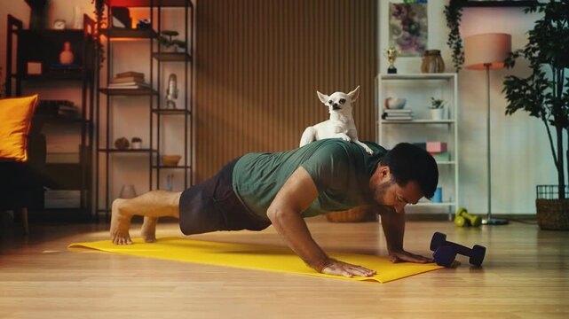 Middle-aged man doing push-ups with Chihuahua dog on back, fun home workout