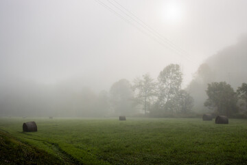 Morning Field in Mist