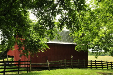 Red barn surrounded by pecan trees