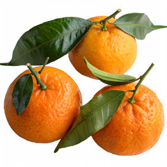 Three vibrant orange fruits with green leaves, each displaying a unique shape and surface texture