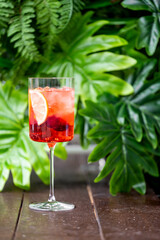 A refreshing cocktail garnished with ice cubes, lemon slices, and berries in a tall glass, set against vibrant tropical leaves. The lush greenery and rich colors create a summery, exotic atmosphere