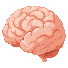 Highly detailed realistic rendering of a human figure