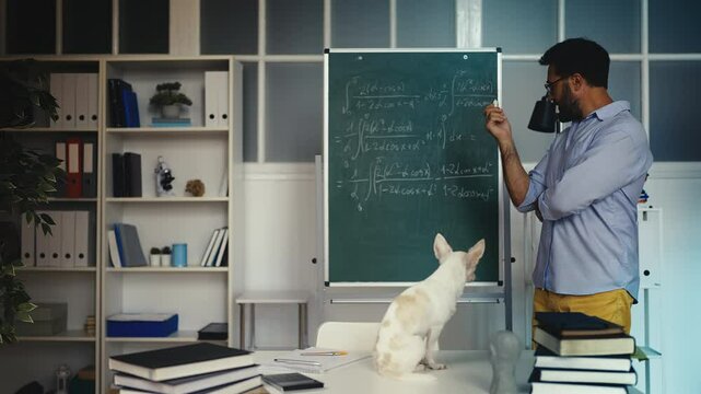 Middle-aged man working on math theory and talking to his dog, pet friendship