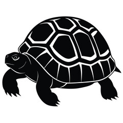 African spurred tortoise vector illustration