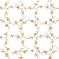 Watercolor seamless pattern of daisies. Flower wreaths on a white background. Botanical illustration with white wildflowers. Floral seamless background for wrapping paper, wrappers, wallpaper
