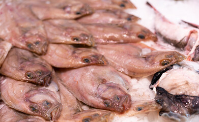 Fresh catch of European sole fish on ice close up. Cleaned fish for cooking and restaurants