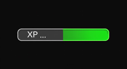 A partially filled green and gray experience points bar on a black background with xp text visible