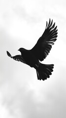 Fototapeta premium Monochromatic Shot of Bird in Flight Against Light Sky