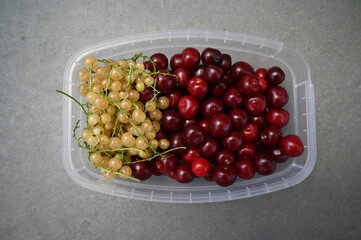 Fresh Red Cherries and White Currants in Plastic Container – Healthy Fruit Snack