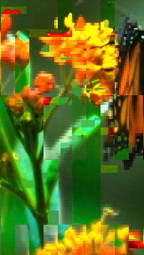 Signal Error Vertical Motion Effect MOGRT 571