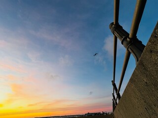 Seagull flying over boardwalk railing at golden sunset with colorful sky