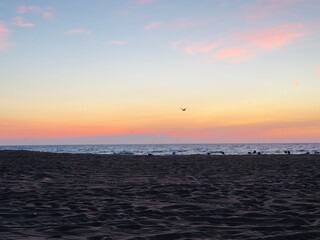 Colorful twilight sky over ocean with scattered birds at the shore
