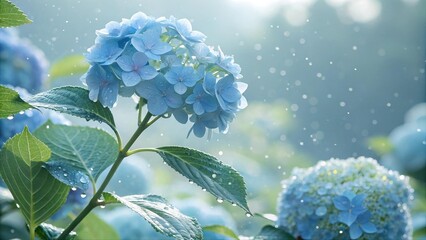 Watercolor illustration of blue hydrangea flower with green leaves on soft blue background. Botanical floral artwork perfect for greeting cards, wall art, or decorative design.