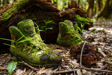 Two dirty, mossy shoes are sitting on the ground in a forest. The shoes are covered in green moss and appear to be abandoned. Concept of solitude and the passage of time
