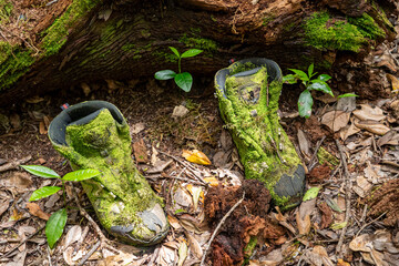 
Two old, dirty shoes are sitting on the ground in a forest. The shoes are covered in moss and appear to be abandoned. Concept of solitude and the passage of time