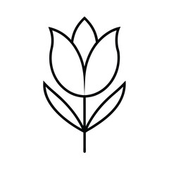 vector illustration of a plant